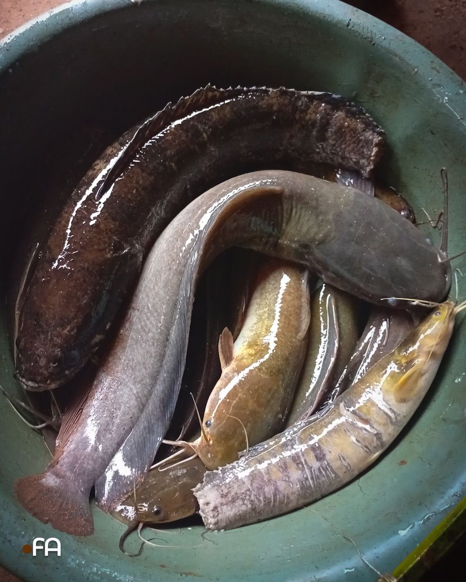 Au village, le temps ne court pas...
1/4