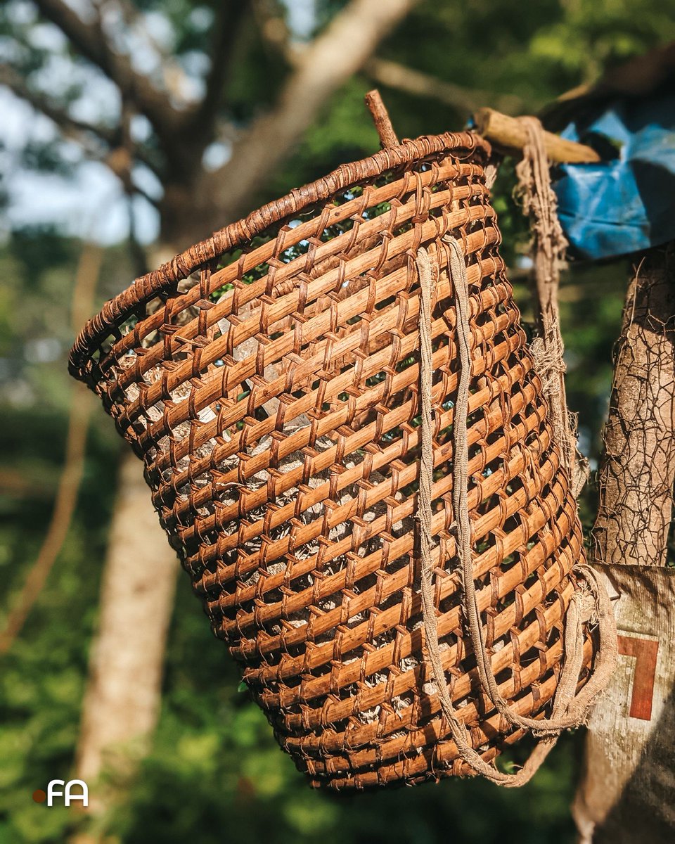 Franck AMANA 🇨🇲 tweet media