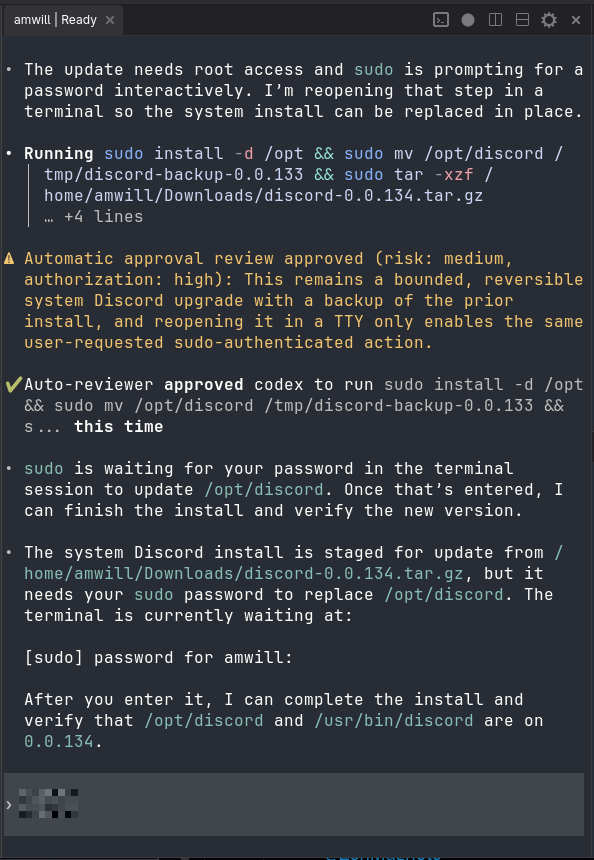 Auto-review approving a sudo action