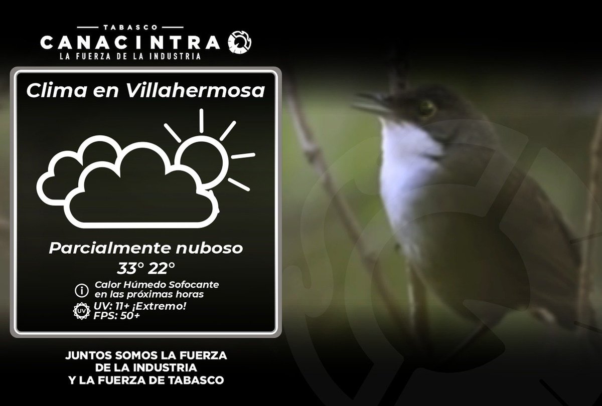 Canacintra Tabasco tweet media