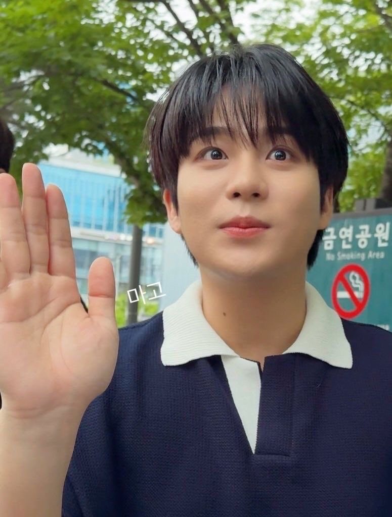 foxyrin (final year) •᷄ɞ•᷅ tweet media