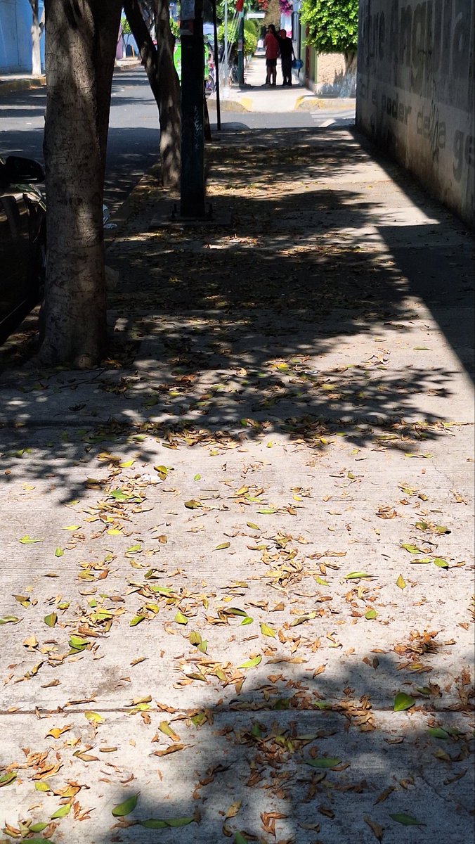 sami03_07's tweet photo. @SOBSECDMX @Alc_Iztapalapa @889Noticias @ALEIDAALAVEZ  en donde se denuncia a un barrendero que hace su trabajo? Y solo se dedica recojer bolsas de basura en casas que le dan $$$ "ayuda" , tenemos calles sucias porque nunca barre. https://t.co/HLW9KOQ5U3