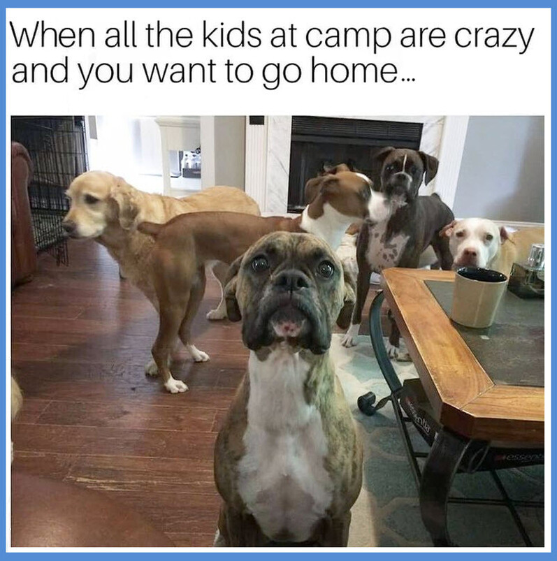 Jacky ⭐️ tweet media