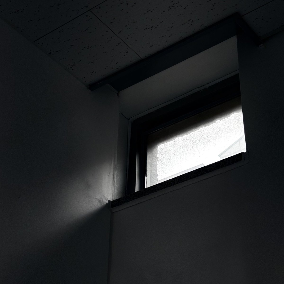 空白 tweet media