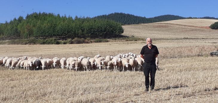 Radio Haro tweet media