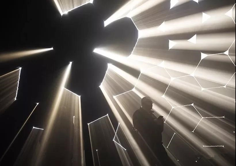 franziska felkl tweet media