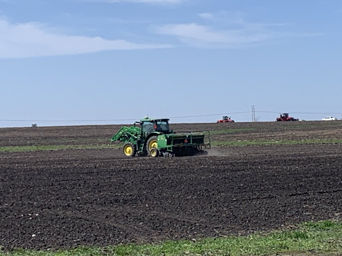 ISUNorthernRF's tweet image. Oat variety trial going in the ground today at the ISU AEA farm. A replication of the variety trial @ISUNorthernRF . Same 13 varieties, different location.
@nciacrops @GentrySorenson 
#oats #covercrops #smallgrains