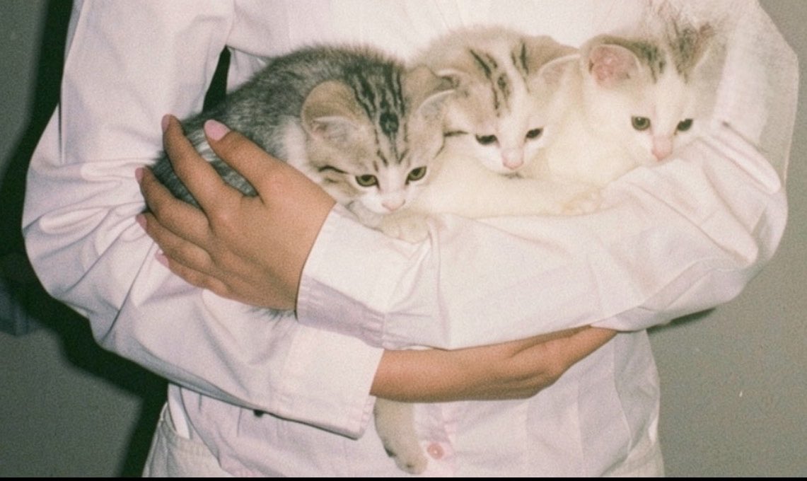 x2iika's tweet photo. Just me and my little babies🐾🐾 https://t.co/IPP6DZF6Lx