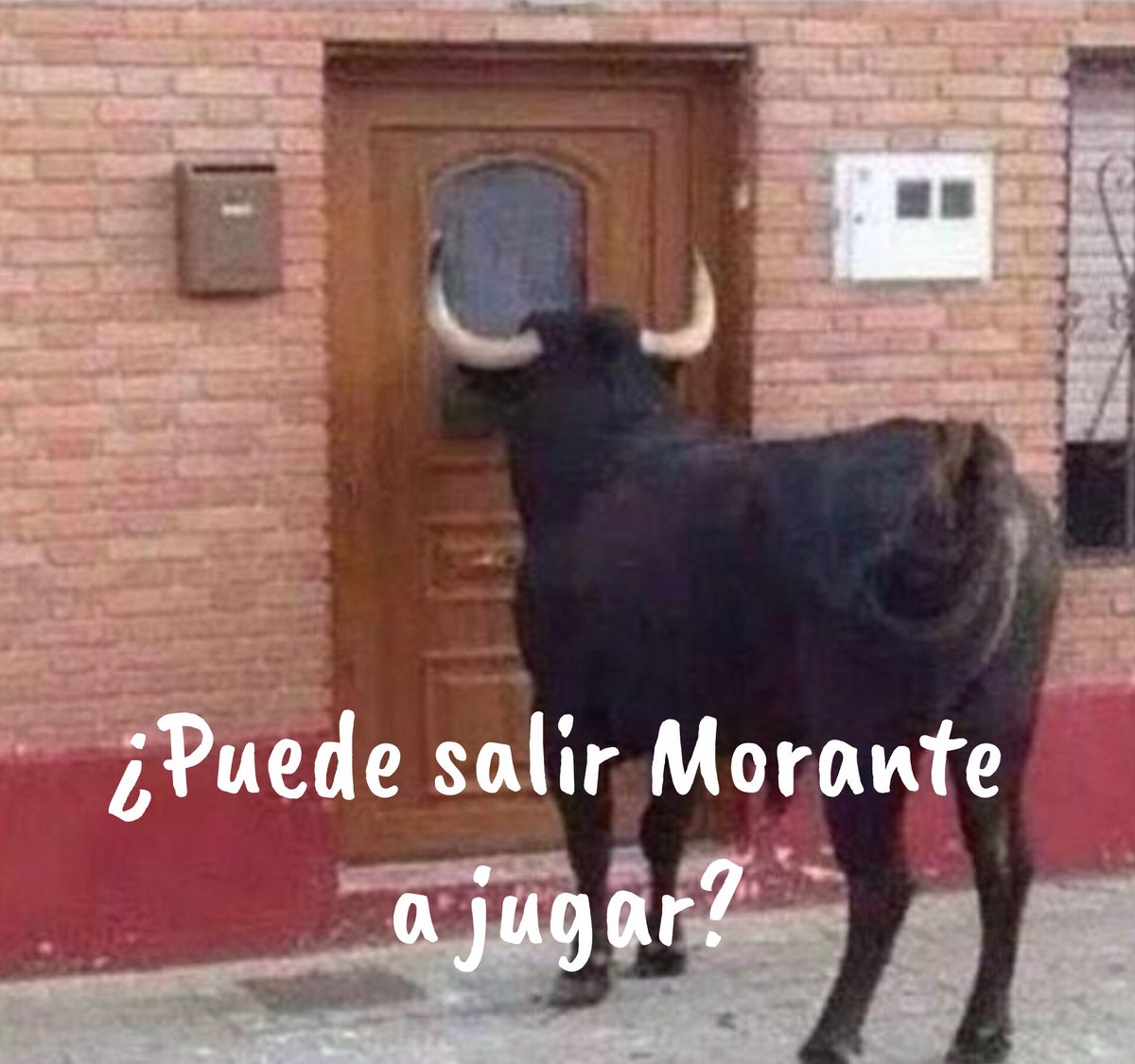 Guillem #FreePalestine 🌹🇯🇴 tweet media