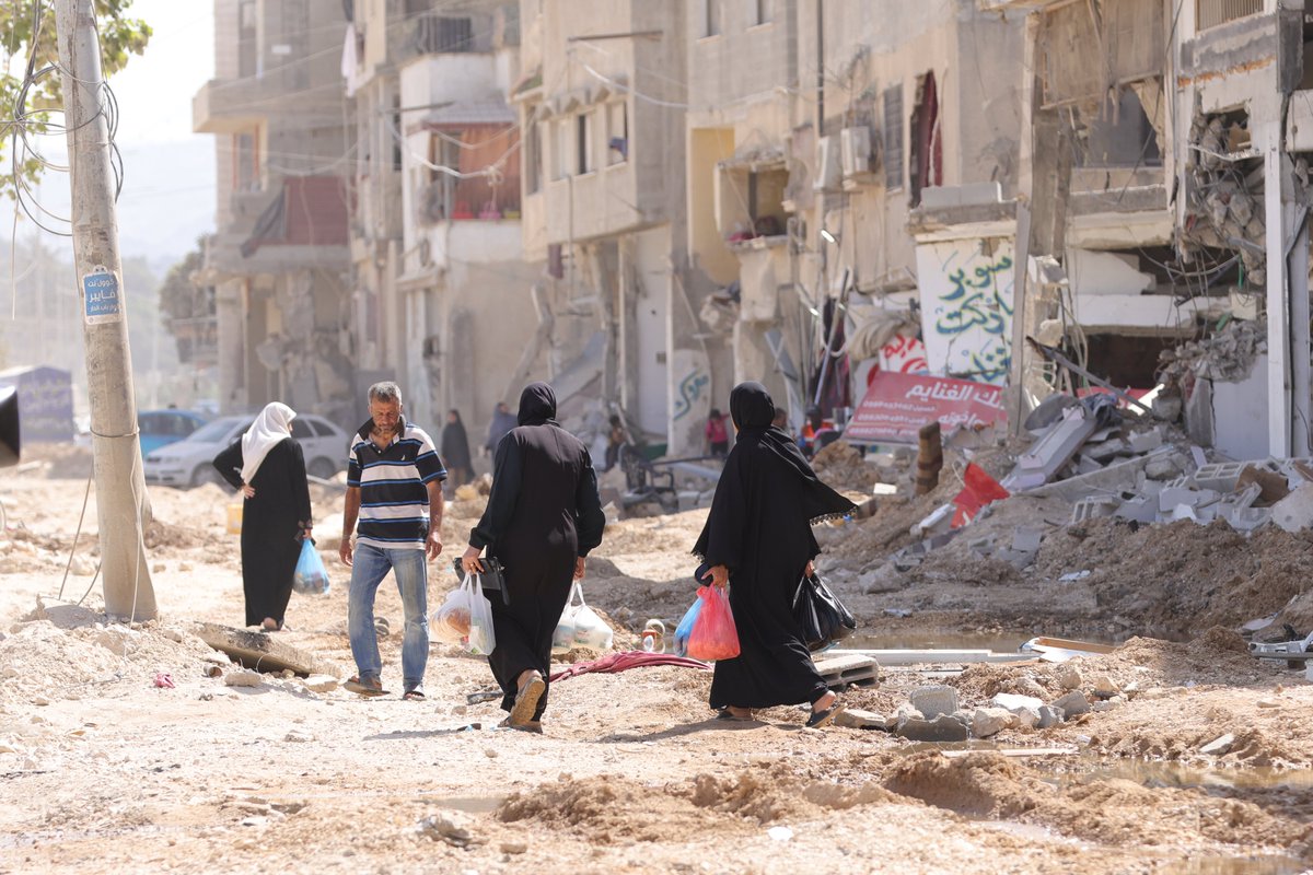 UNDP Palestine tweet media