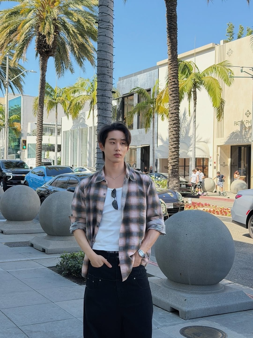 Woodsy Corner. tweet media