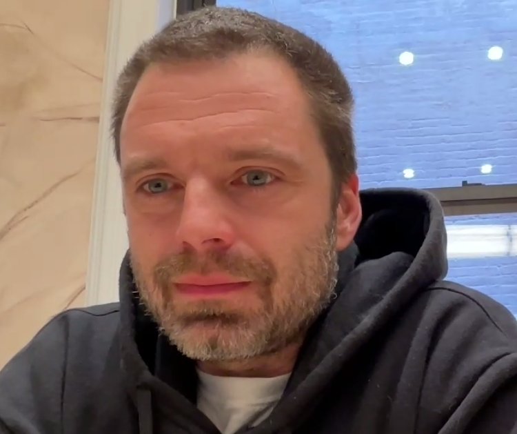 Sebastian Stan Archive tweet media