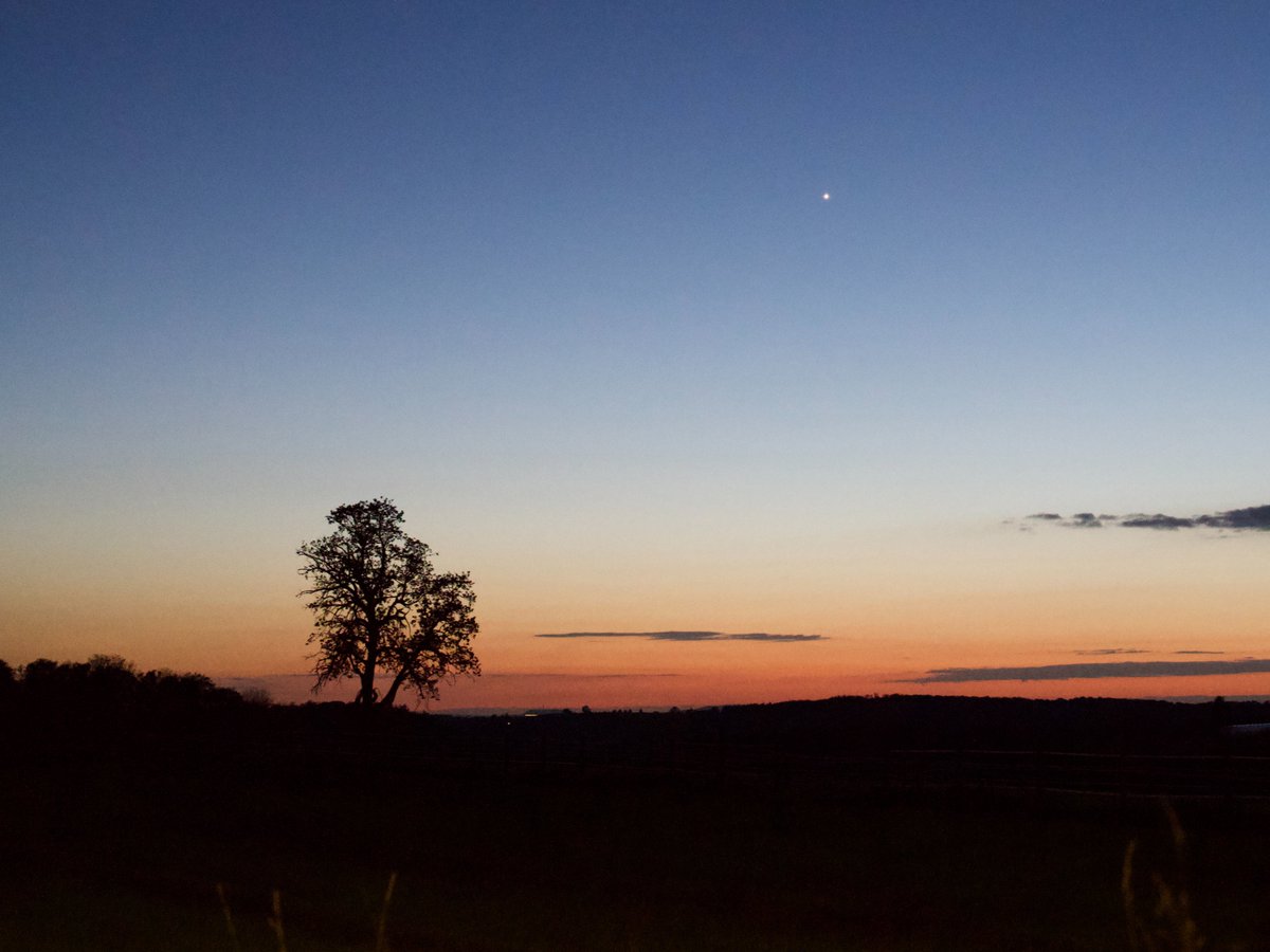 xipteras's tweet image. This evening, Venus glows low on the horizon, creating a captivating evening spectacle. #planets