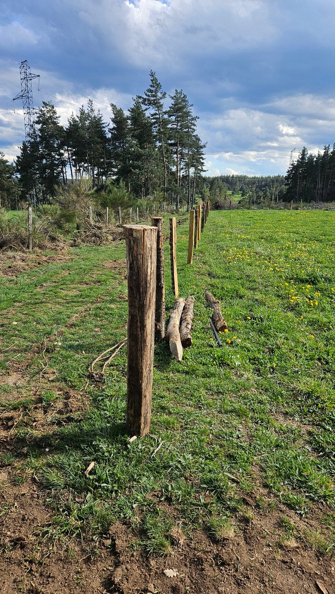 guillaume_redon's tweet image. Arrachage de la prestation, remise en place au cordon du boulot que je souhaite avoir, prochaine étape la pose de grille, la prestation malfaçon reste en place pour les poursuite si çà moufte en attendant la fameuse facture...
#fence #clotures