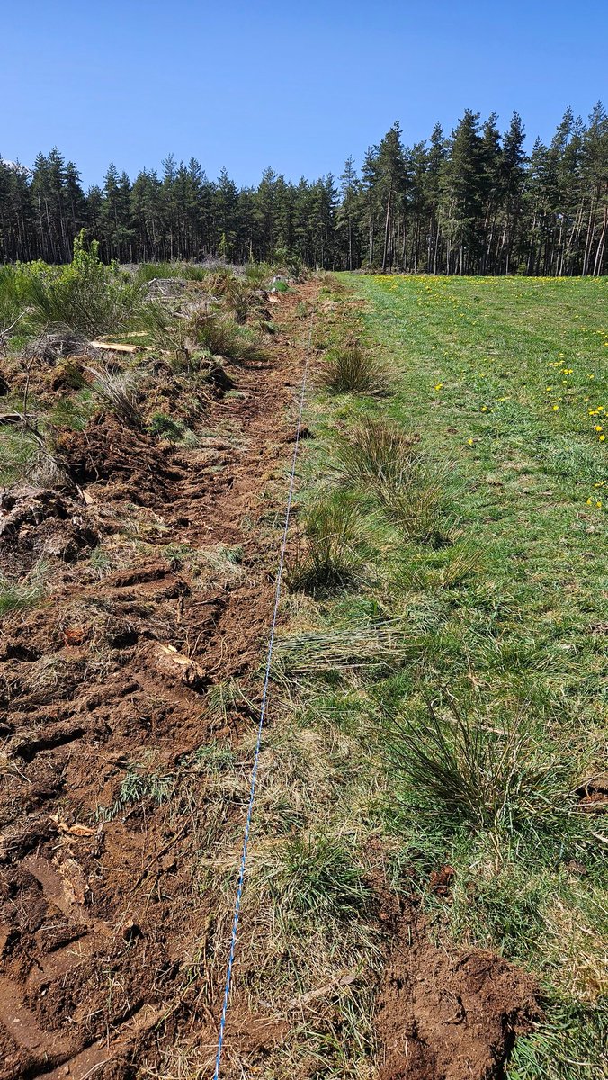 guillaume_redon's tweet image. Arrachage de la prestation, remise en place au cordon du boulot que je souhaite avoir, prochaine étape la pose de grille, la prestation malfaçon reste en place pour les poursuite si çà moufte en attendant la fameuse facture...
#fence #clotures