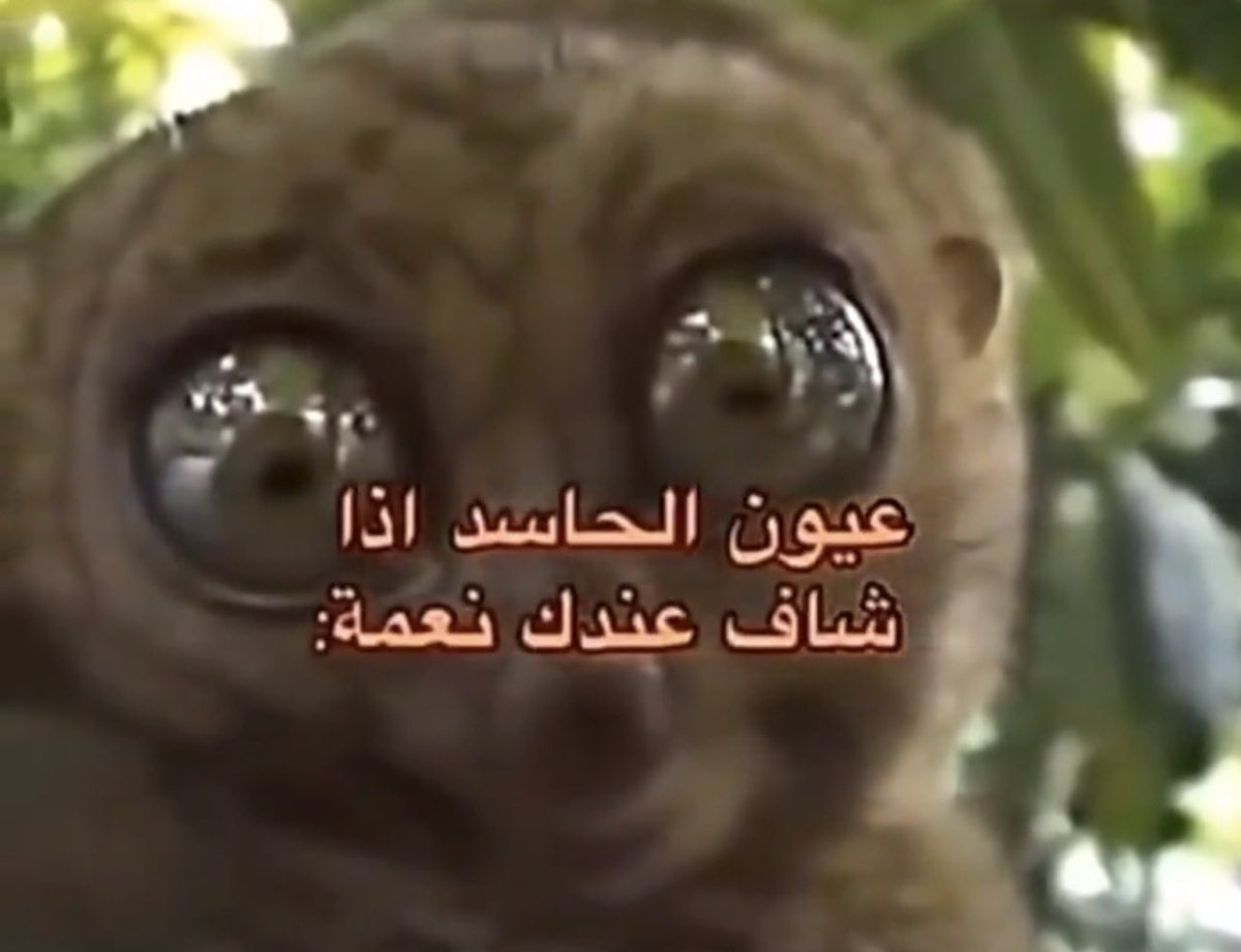 حازم tweet media