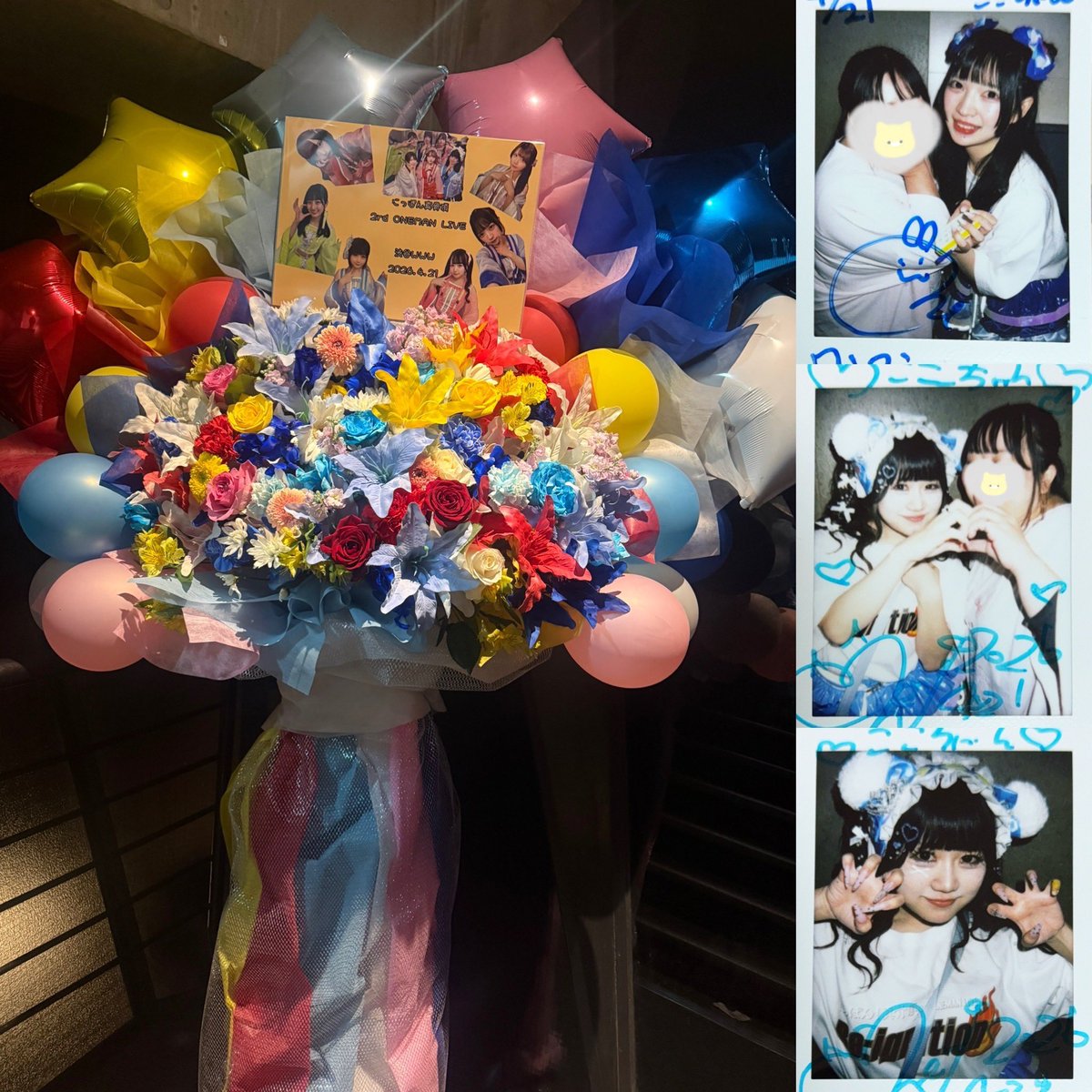 ここちゃん。 tweet media