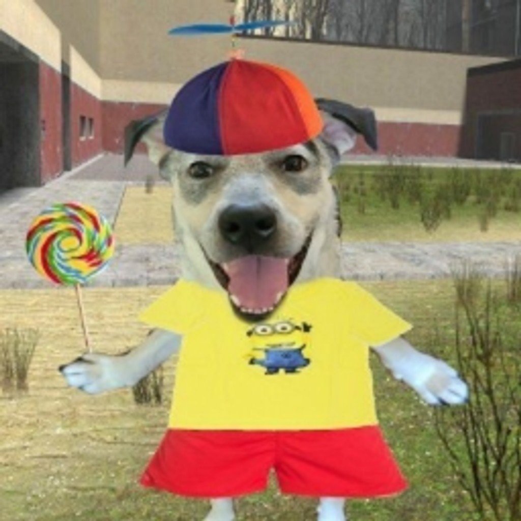 -{𝖑𝖔𝖔𝖟𝖗𝖘 ★*.⋆}- tweet media