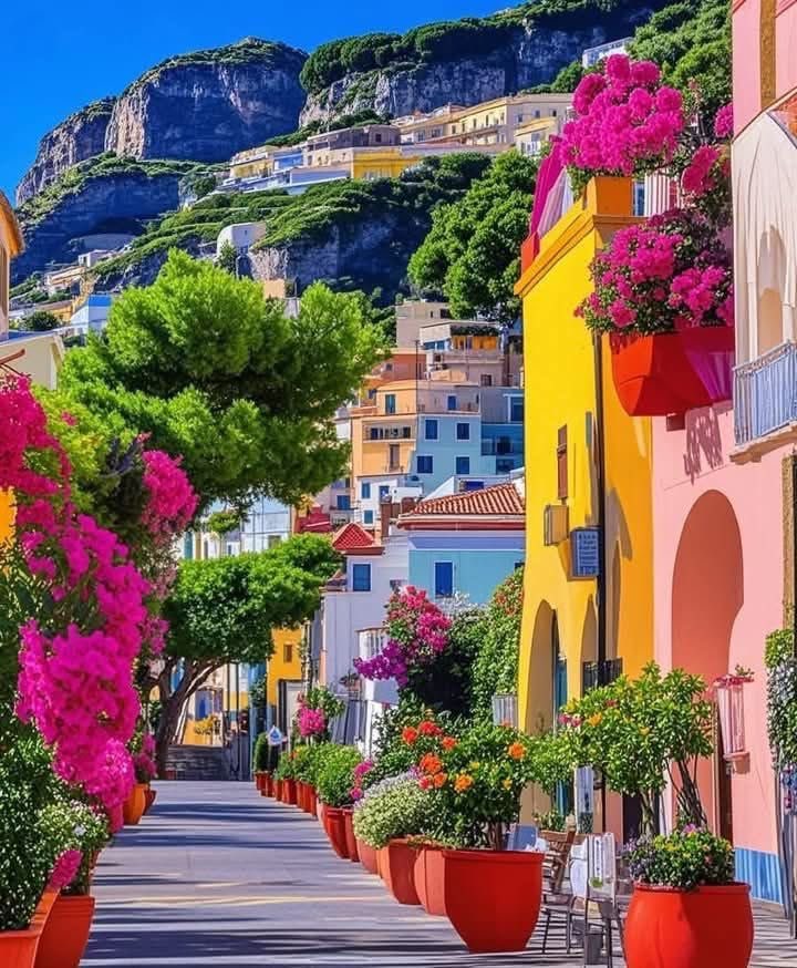 Lea 🌸🌿🕊️ tweet media