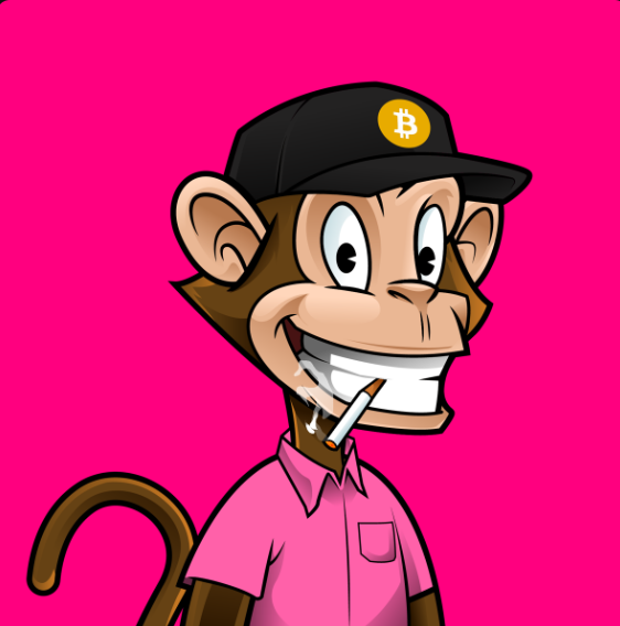 Bitcoin Monkeys tweet media