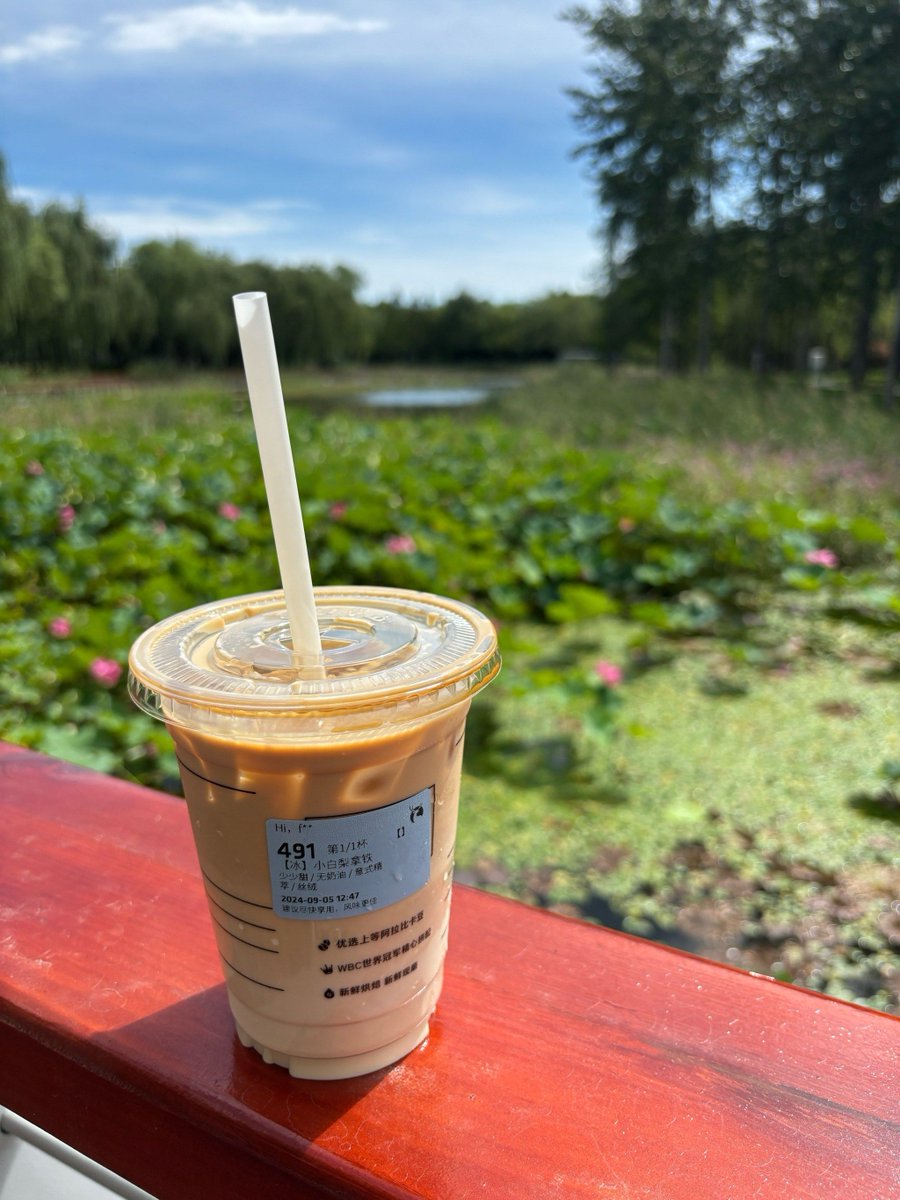 hypnotic lounge tweet media