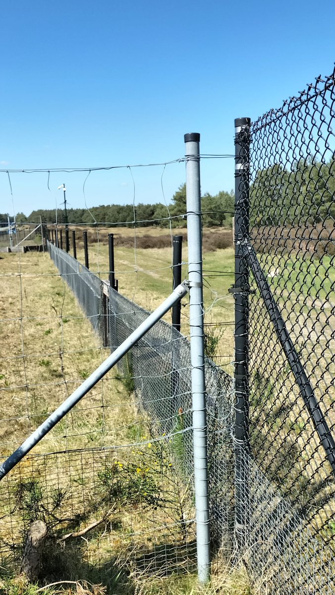 De Faunabescherming tweet media