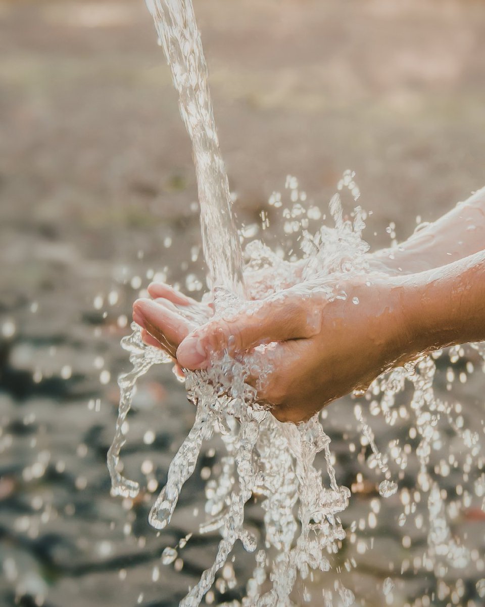 RoseWritingCtr's tweet image. We’re delighted to feature “The Significance of Water” by Sungwoo C. in our Rose Writing Center Student Showcase. 
Read his full piece here: rosewritingcenter.com/202223/the-sig…

#RoseWritingCenter #StudentShowcase #YoungWriters #EssayWriting #HomeschoolWriting #RealWorldWriting