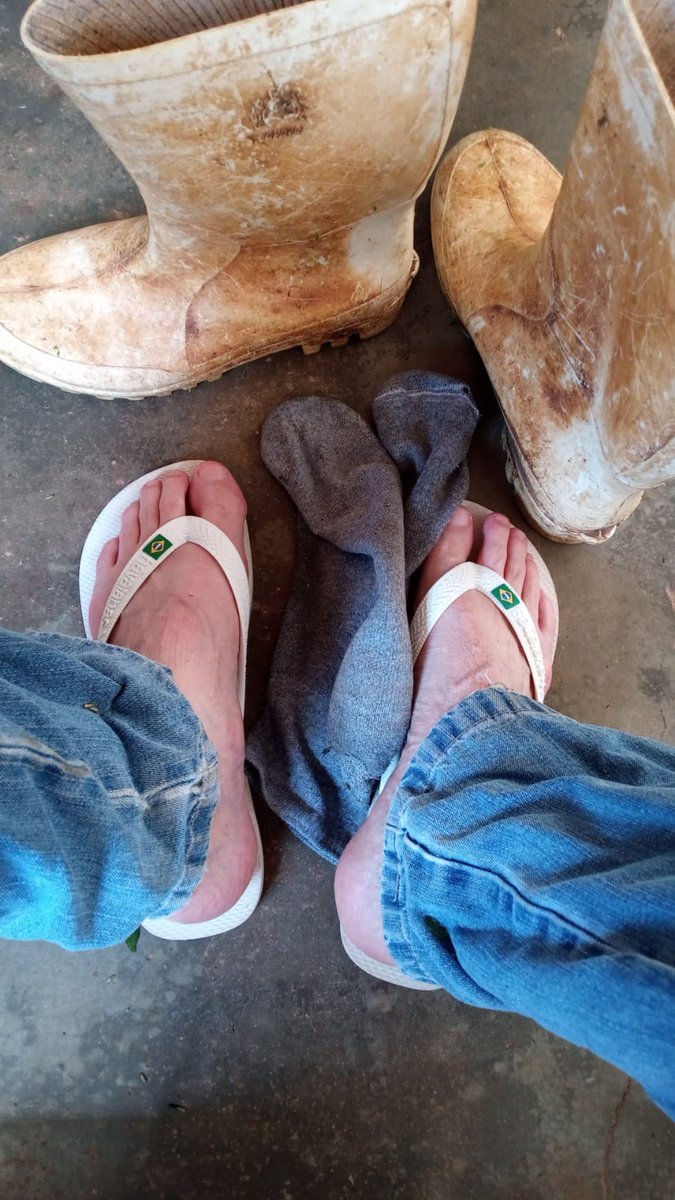 Pimenta78548899's tweet photo. Aliviando os pés depois de uma manhã de trabalho pesado! https://t.co/wPOUahsGc8