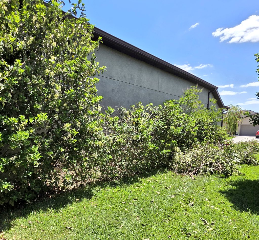 The Lectern Guy🇺🇸 tweet media