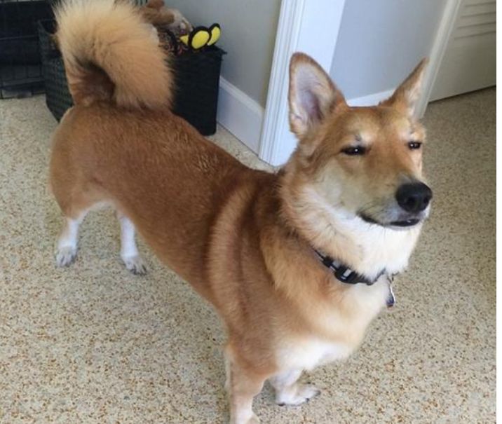 HasanYılmaz tweet media