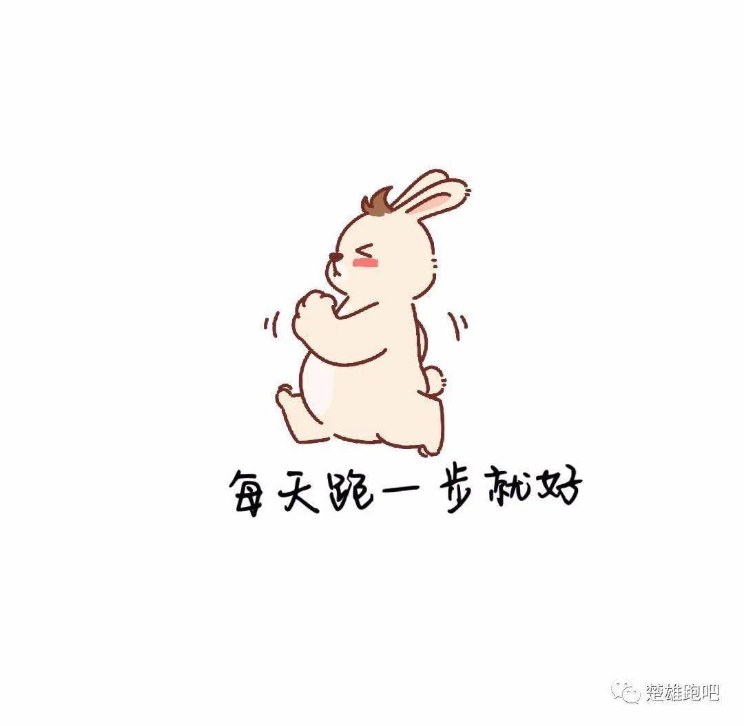 Mlle Aliice tweet media