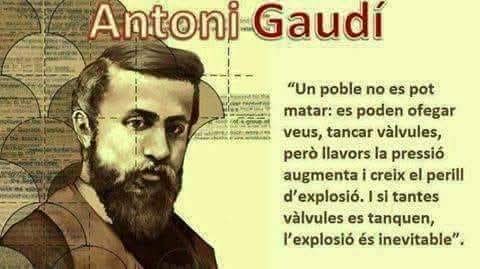 Anna Clos tweet media