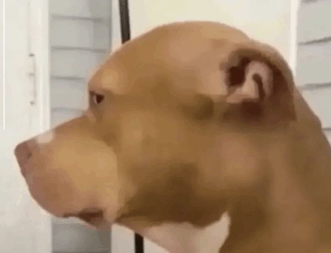 velvet died tweet media