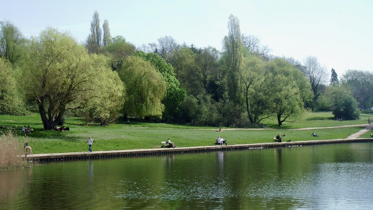 ⋆˚࿔ tweet media