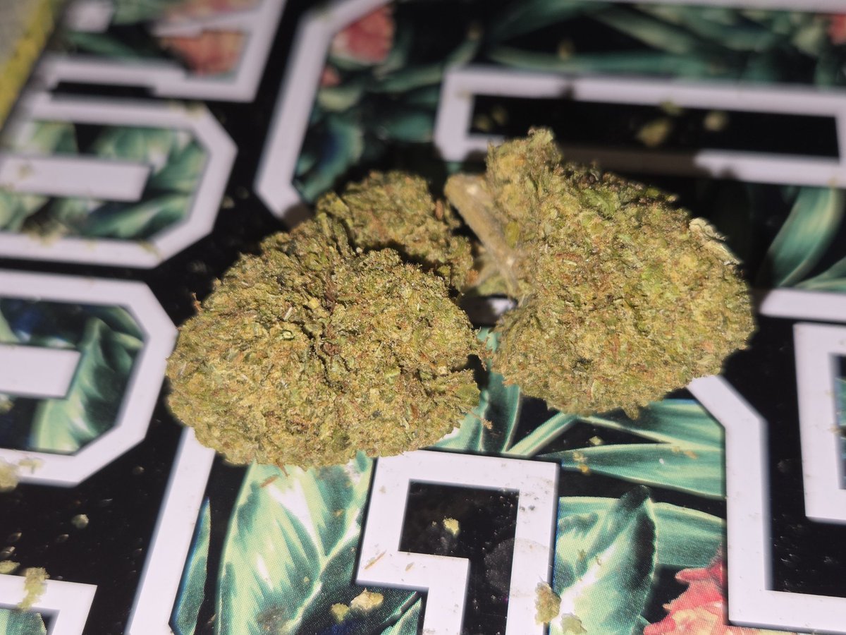 CreatesChance's tweet image. Great find at @CallmeTHCa 
Candy Cane 
30% THCa 
3.97 Terps
Earthy, hot/cold rub nose.
Earthy with that hint of a sport rub. Great buzz! Sign up here callmehemp.com/?ref=CHANCE code CHANCE saves you and helps me!