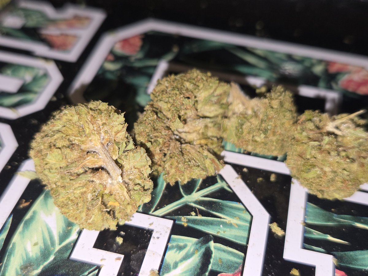 CreatesChance's tweet image. Great find at @CallmeTHCa 
Candy Cane 
30% THCa 
3.97 Terps
Earthy, hot/cold rub nose.
Earthy with that hint of a sport rub. Great buzz! Sign up here callmehemp.com/?ref=CHANCE code CHANCE saves you and helps me!