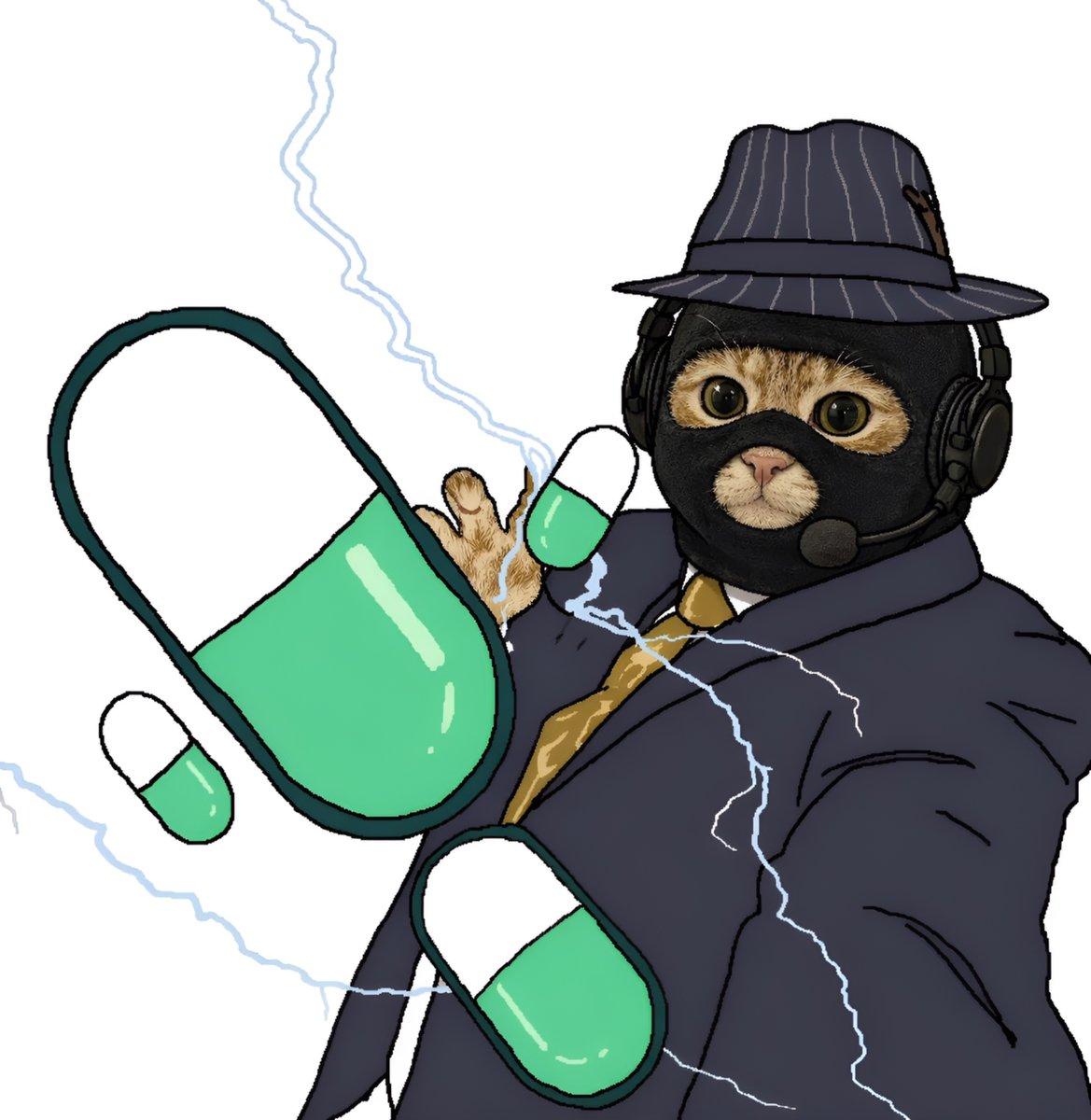 catwifmask official tweet media