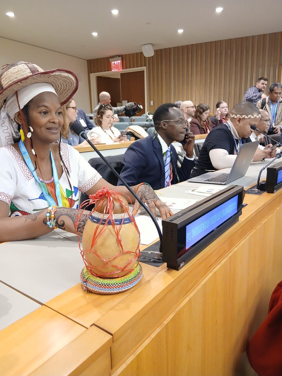 Forum des Femmes Autocthones du Cameroun -FFAC tweet media