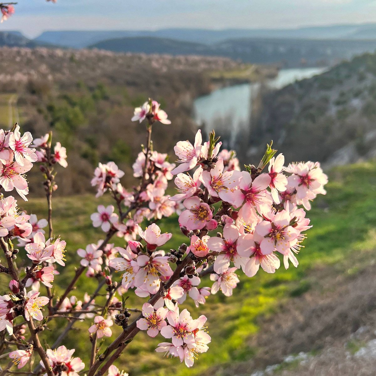 DasTere_8's tweet image. ⭐️Have a good week!"Nothing happens for nothing. Any coincidence, an insignificant detail, at first glance, are all pieces of the general puzzle of the Universe, on which the winding path of our life is laid, full of steep ascents and dizzying descents."(Nika Ostozheva)✍️#quotes