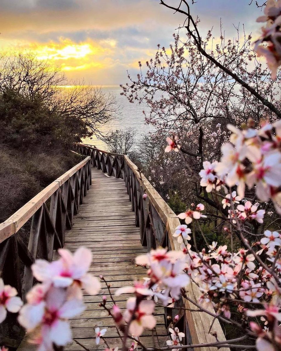 DasTere_8's tweet image. ⭐️Have a good week!"Nothing happens for nothing. Any coincidence, an insignificant detail, at first glance, are all pieces of the general puzzle of the Universe, on which the winding path of our life is laid, full of steep ascents and dizzying descents."(Nika Ostozheva)✍️#quotes