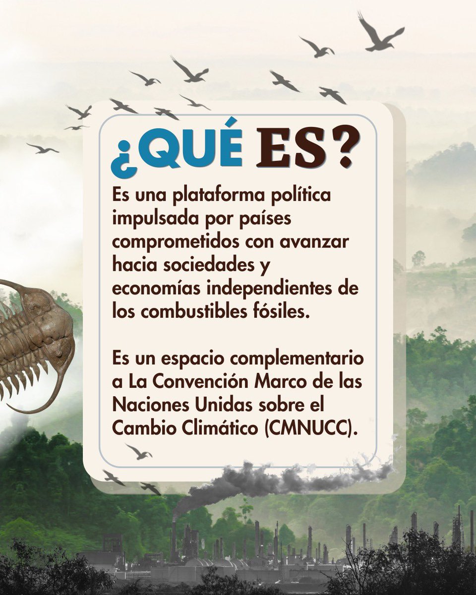Comisión Nacional de Territorios Indígenas tweet media