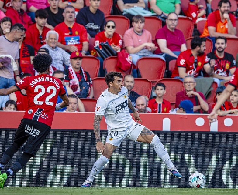 عـالـم فـالـنسيـا 🦇 tweet media