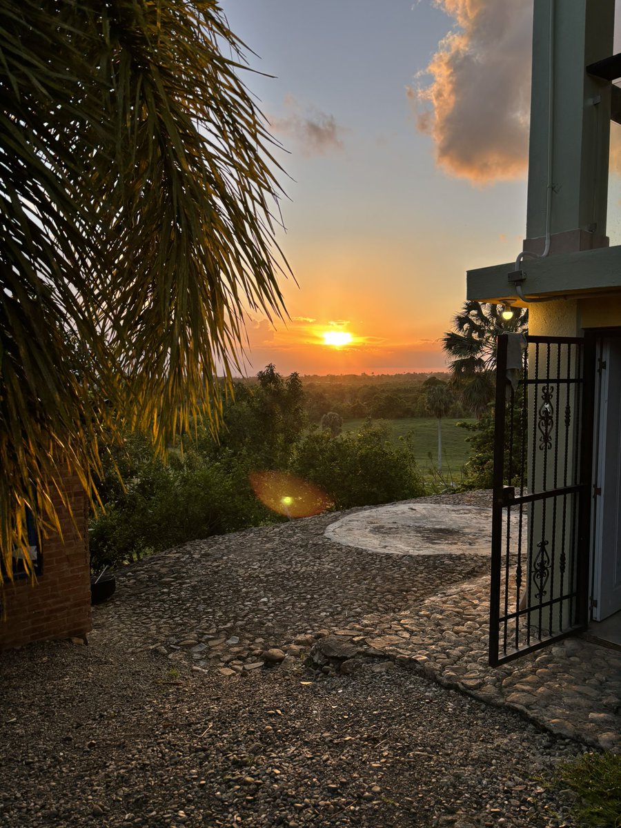 Carli 🌹 tweet media