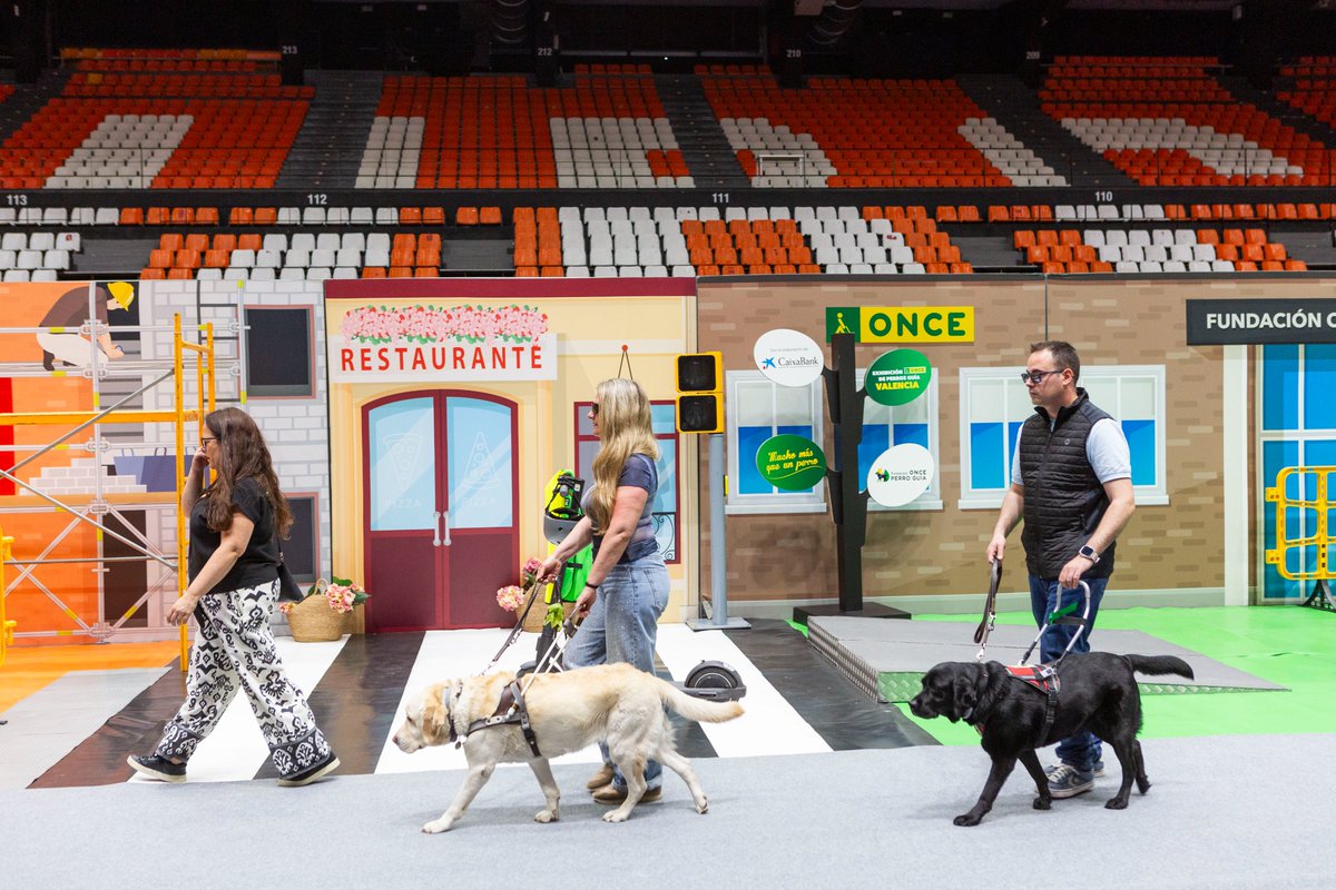 ONCE_oficial's tweet photo. Más de 400 personas han conocido la labor de los perros guía en #Valencia 🦮

🐾Eloy Aranda y Rafael Alameda, acompañados por Mardi y Owen, mostraron cómo es el adiestramiento y repasaron algunos consejos para saber cómo comportarse ante un perro guía

@FundlaCaixa @RoyalCanin_Es #MuchoMásQueUnPerro #FOPG

ℹ️ https://t.co/zX5EOsOOMx