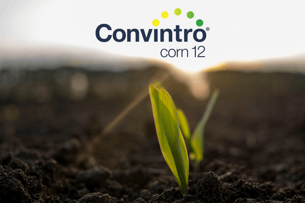 Bayer4CropsCA's tweet photo. Fight back against tough, resistant weeds before they emerge.

Convintro Corn 12 is the only Group 12 herbicide registered for corn in Eastern Canada, delivering early, one‑pass residual control and targeting problem weeds like waterhemp and palmer amaranth. 

Apply pre‑plant or pre‑emergence to stay ahead this season > https://t.co/osrnj0Sj2w