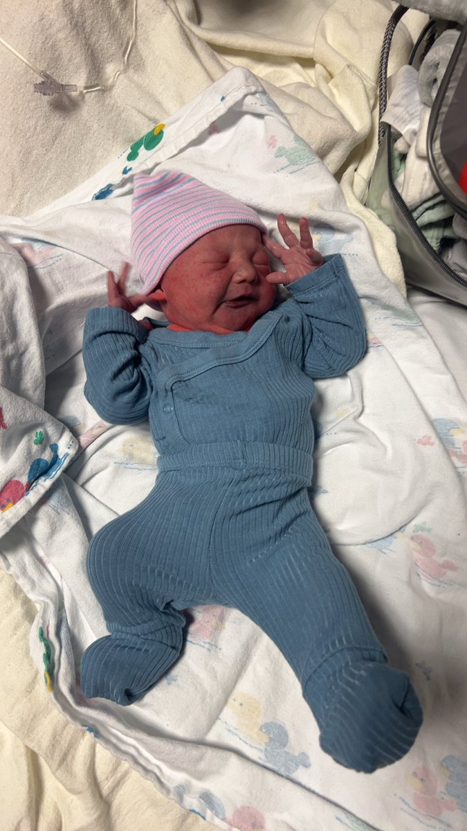 Austin Forge tweet media