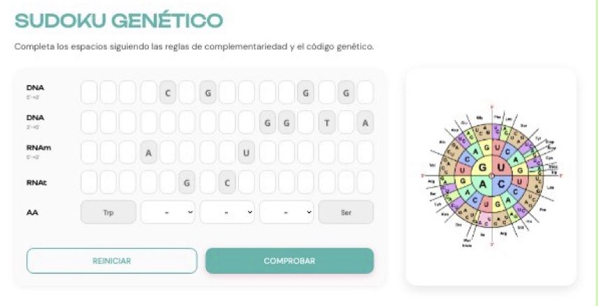 eneko_fc's tweet photo. En años anteriores, compartía un ejercicio sobre transcripción y traducción que hacía en papel. Ahora, este Sudoku genético, coge cuerpo digitalmente gracias a la IA de @genially_es 
Agradezco los consejos y ayudas de @jjdeharo y de @MrCuarter 
https://t.co/WIbwxK6B6e
#biologia https://t.co/faS1CsNEsm