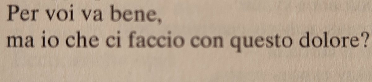 Checco Coniglio tweet media