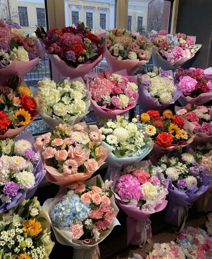 blossom. tweet media