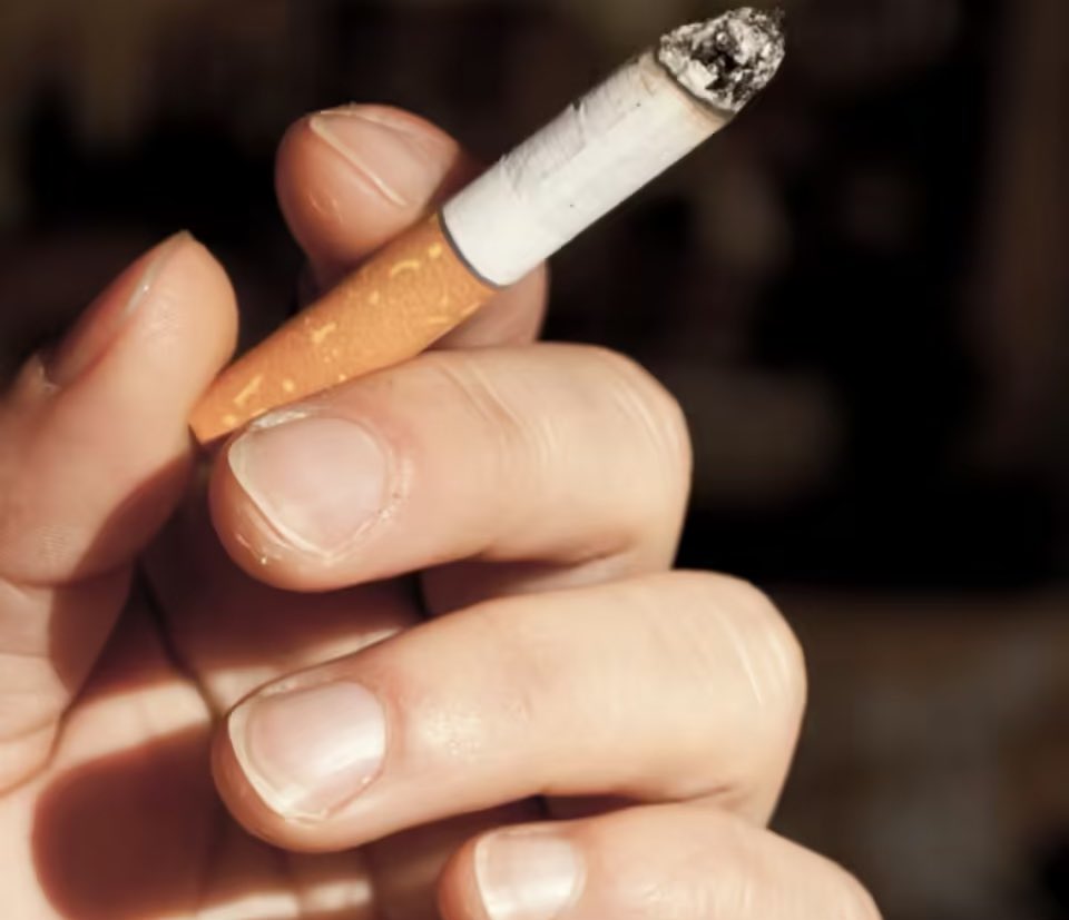 SAY CHEESE! 👄🧀 tweet media